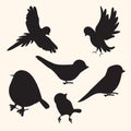 Birds silhouettes collection Royalty Free Stock Photo
