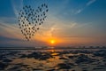 Birds silhouettes flying above the sea against sunrise in the form of heart Royalty Free Stock Photo