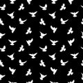 Birds silhouettes - flying seamless pattern. Black and white. Royalty Free Stock Photo