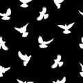 Birds silhouettes - flying seamless pattern. Black and white. Royalty Free Stock Photo