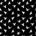 Birds silhouettes - flying seamless pattern. Black and white. Royalty Free Stock Photo