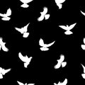 Birds silhouettes - flying seamless pattern. Black and white. Royalty Free Stock Photo