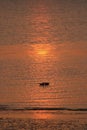 Birds silhouettes on waters Morecambe Bay sunset Royalty Free Stock Photo