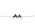 Birds silhouettes on wire, vector. Family birds illustration. Scandinavian minimalist art design, wall decals Royalty Free Stock Photo