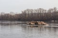 Birds sit on a boulder in the middle of the Dnipro River in Zaporizhzhia. Ukraine