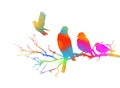 Birds are sitting on a colorful branch. Vector illustration