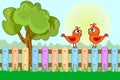 Birds sitting on garden fence. Summer village, plank fence and two red nestling. Countryside background in cartoon style. Royalty Free Stock Photo