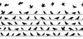 Birds Sitting on Power Lines. Seamless Pattern. Vector