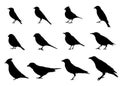Birds sitting side view silhouettes