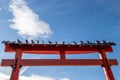 Birds sitting on a wooden entrance to a Japanese garden Royalty Free Stock Photo