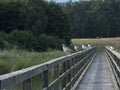 Birds sitting on a wooden footbridge Royalty Free Stock Photo