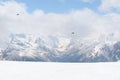 2 birds in the sky over the snowy slopes of the Caucasus mountains in winter Royalty Free Stock Photo