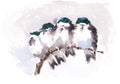 Birds Snuggling on the Branch Watercolor Cozy Winter Illustration Hand Painted Royalty Free Stock Photo