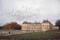 Birds soar in the sky in front of Luxembourg Palace. Paris, France Royalty Free Stock Photo