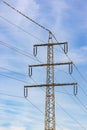 Birds and songbirds sitting on a power pole and the power lines