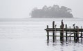 Birds on Stingaree Bay jetty, Tasmania, Australia