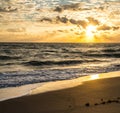 Birds in the Golden Clouds at Sunrise Royalty Free Stock Photo