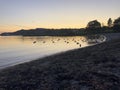 Birds and sunset at the sea at the evning