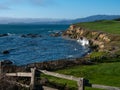 Birds are swiming in the Beutifull Half moon bay beach california, usa Royalty Free Stock Photo