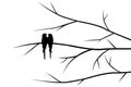 Birds Couple Silhouette on Branch Vector Royalty Free Stock Photo