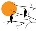 Birds silhouettes on branch on sunset Royalty Free Stock Photo