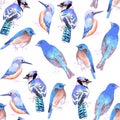 Birds in tints and shades of blue seamless watercolor bird painting background Royalty Free Stock Photo