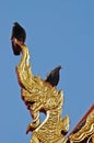 Birds on top of Naga dragon golden statue in Thailand temple Royalty Free Stock Photo