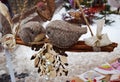 Birds toys and snow in Dolomity mountains, winter image Royalty Free Stock Photo