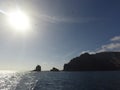 Birds traveling from la graciosa to lanzarote