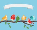 Birds on tree branch. Foliage branches bird set spring poster tenplate, robin canary sparrow tit goldfinch birdie on