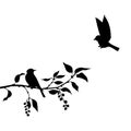 Birds at tree silhouettes Royalty Free Stock Photo