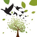 Birds and tree vector Royalty Free Stock Photo