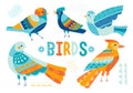 Birds vector illustration in cut out style Royalty Free Stock Photo