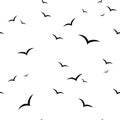 Birds vector seamless pattern Royalty Free Stock Photo