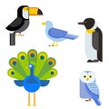 Birds vector set illustration isolated Royalty Free Stock Photo