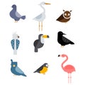 Birds vector set illustration isolated Royalty Free Stock Photo