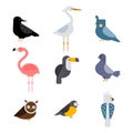 Birds vector set illustration isolated Royalty Free Stock Photo