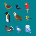 Birds vector set illustration isolated Royalty Free Stock Photo