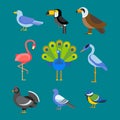 Birds vector set illustration isolated Royalty Free Stock Photo