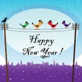 Birds waiting the New Year Royalty Free Stock Photo