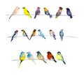 Birds. Watercolor hand dawn illustration Royalty Free Stock Photo