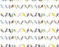 Birds. Watercolor hand dawn illustration Royalty Free Stock Photo