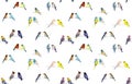 Birds. Watercolor hand dawn illustration Royalty Free Stock Photo