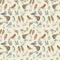 Birds watercolor illustration hand drawn seamless pattern background animals nature clipart different birds owl