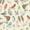 Birds watercolor illustration hand drawn seamless pattern background animals nature clipart different birds owl