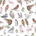 Birds watercolor illustration hand drawn seamless pattern background animals nature clipart different birds owl