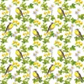 Birds - wild grass, flowers. Floral seamless pattern. Watercolor background Royalty Free Stock Photo