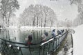 Birds on the winter lake in the park Royalty Free Stock Photo