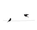 Two birds silhouettes on wire, vector. Flying bird silhouette, illustration. Wall decals, wall art work. Scandinavian minimalist Royalty Free Stock Photo