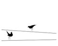 Birds On Wire, Vector. Wall Decals, Birds Silhouettes isolated on white background. Minimalist black and white poster design Royalty Free Stock Photo